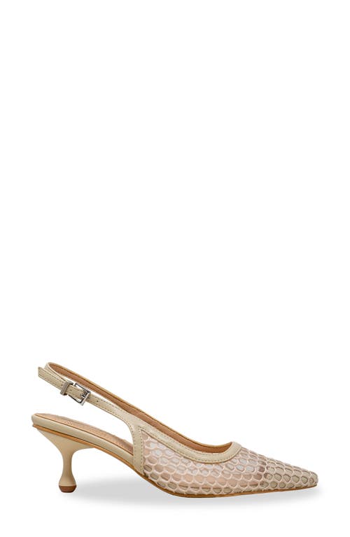 Chase & Chloe Chase And Chloe Arima Slingback Pump