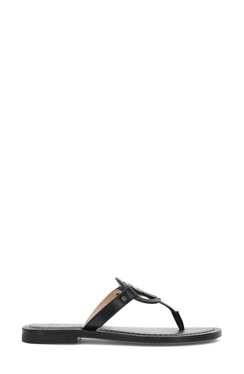 Frye Taylor Logo Sandal In Black