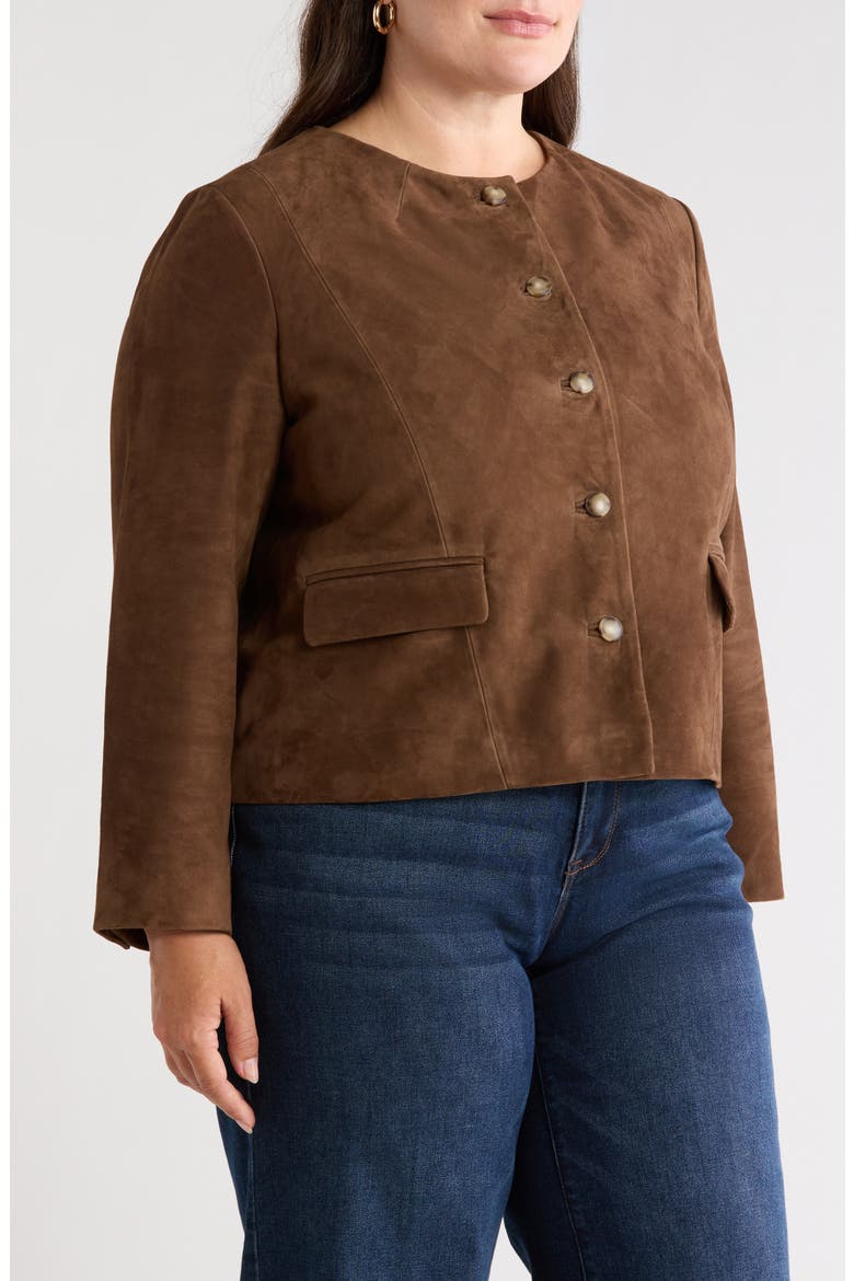 Suede Crop Button Front Jacket, Alternate, color, BROWN DRUM