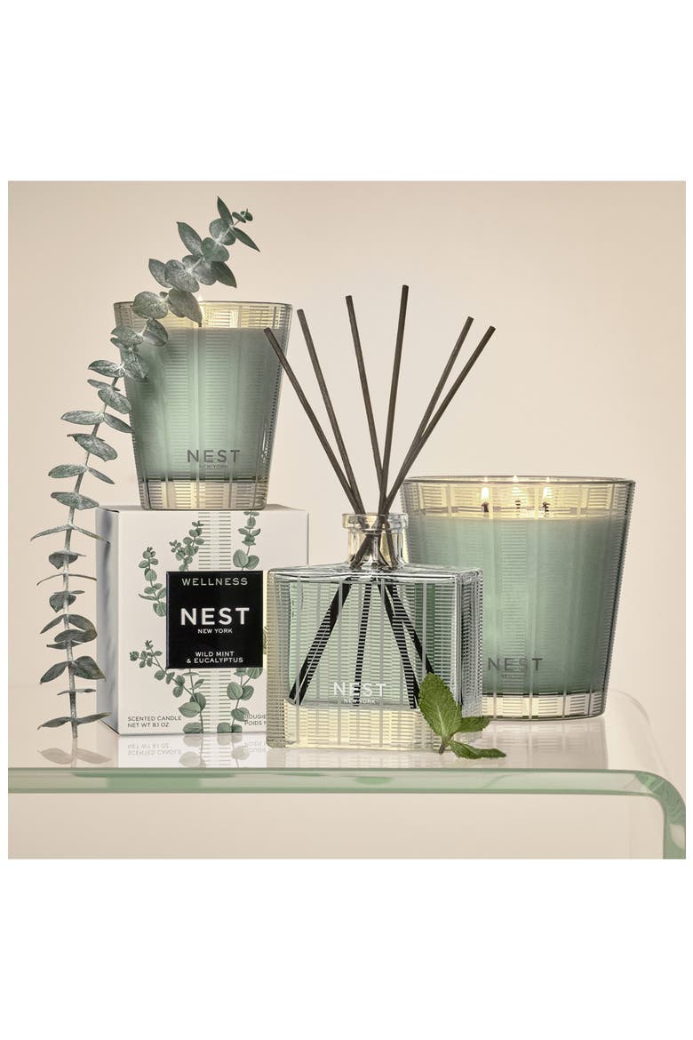 Wild Mint & Eucalyptus Reed Diffuser, Alternate, color, NO COLOR