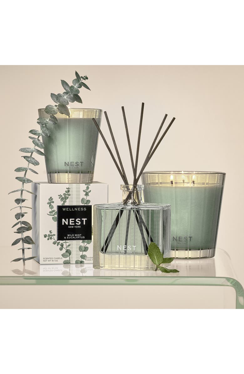 NEST New York Wild Mint & Eucalyptus Reed Diffuser, Alternate, color,