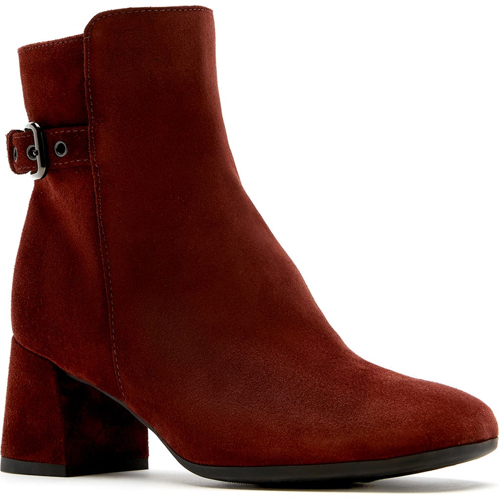 La Canadienne Jeff Buckle Bootie In Burgundy