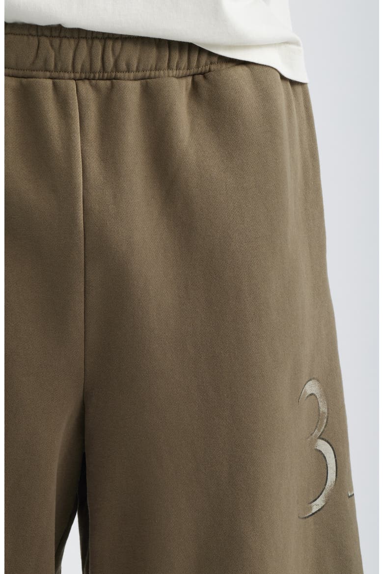 Pleated Baggy Organic Cotton Graphic Sweat Shorts, Alternate, color, BROWN