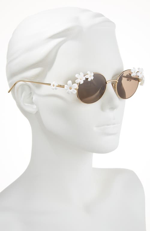 Loewe Signature Oval Sunglasses In Gold
