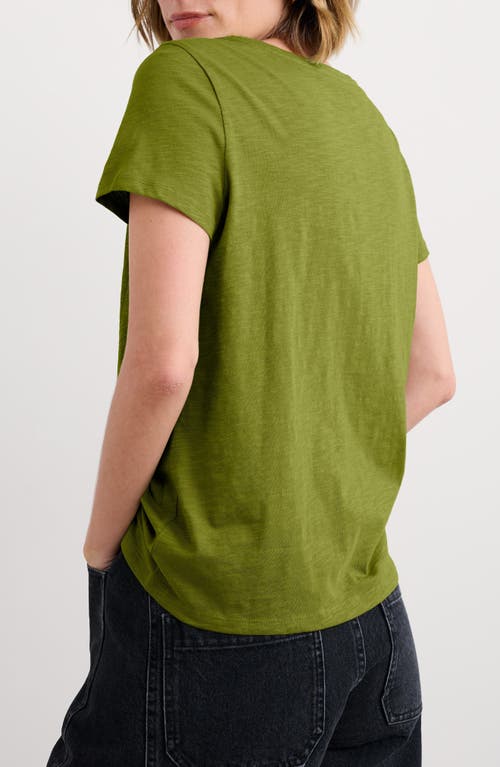 Seasalt Cornwall Appletree Keyhole Organic Cotton T-shirt In Green