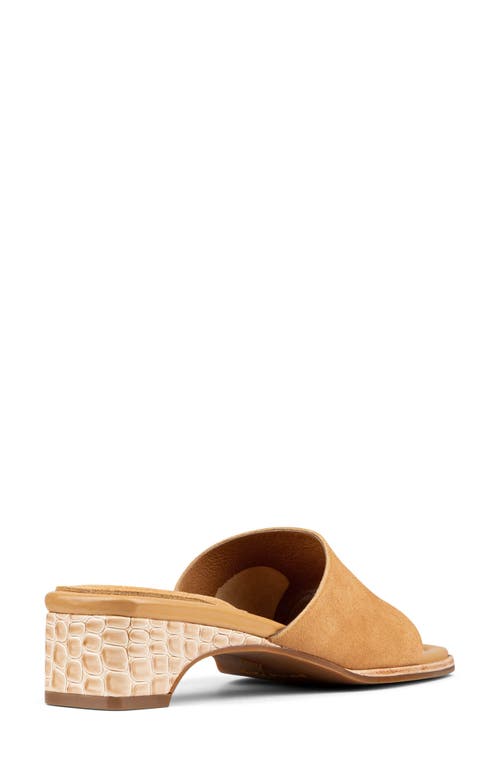 DONALD PLINER DONALD PLINER CASCADE MULE SANDAL 