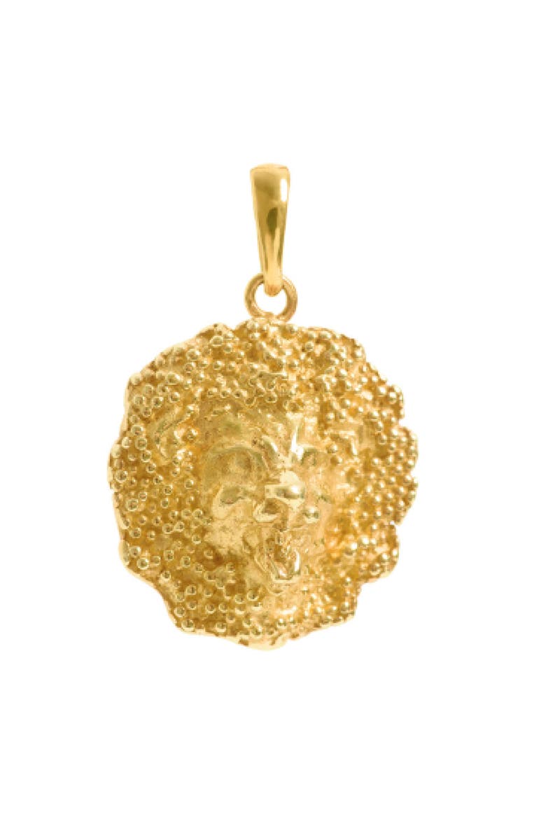 Lion Pendant, Main, color, Gold