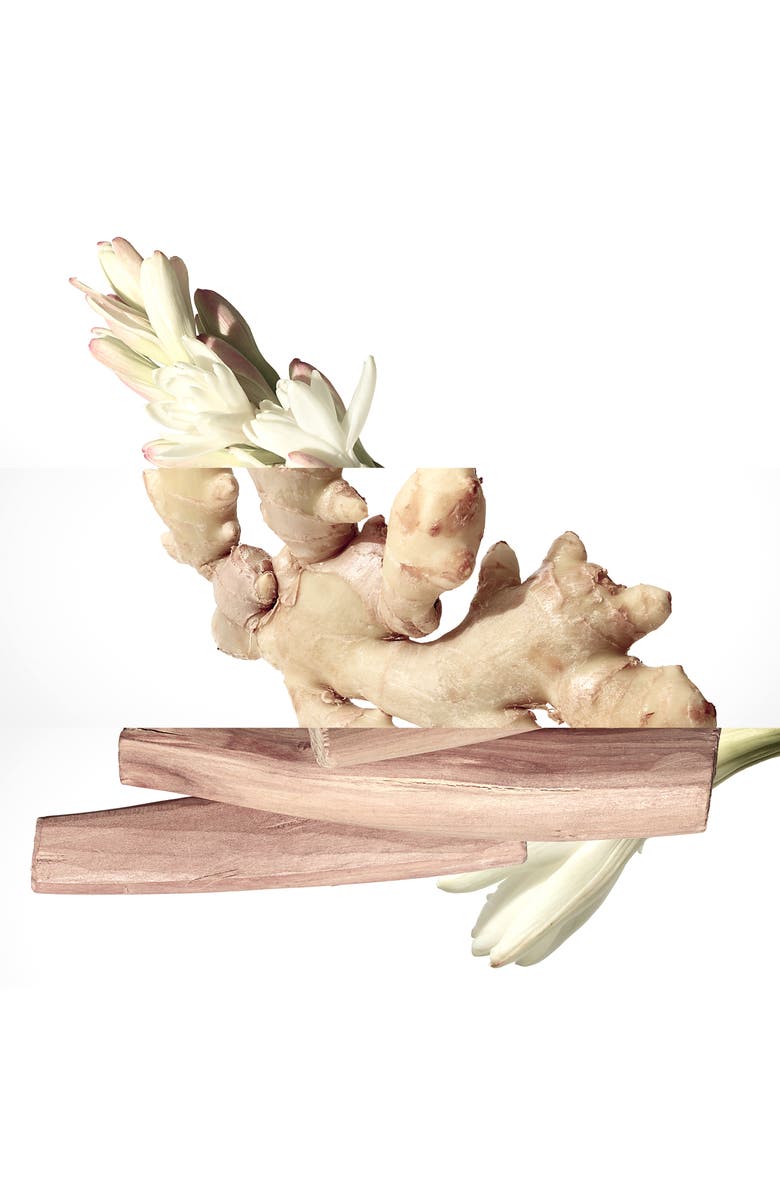 Hermès Charming Twilly - Eau de parfum spray, Alternate, color, 