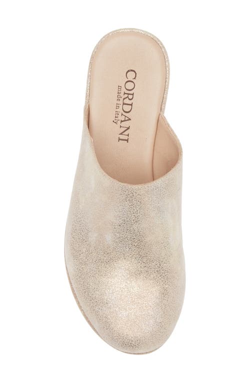 Cordani Camryn Shimmer Platform Wedge Mule In Brown