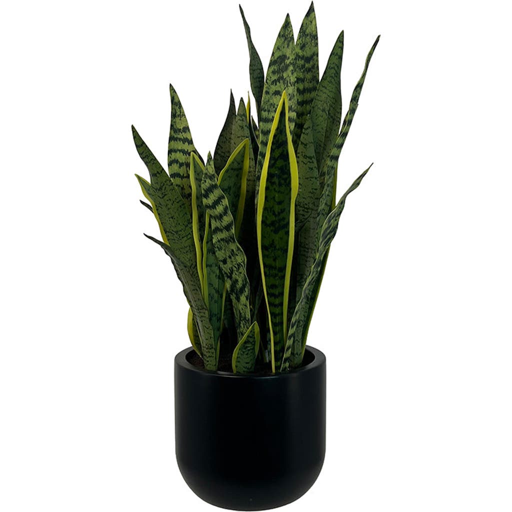 Cg Hunter 30" Snake Plant In Green