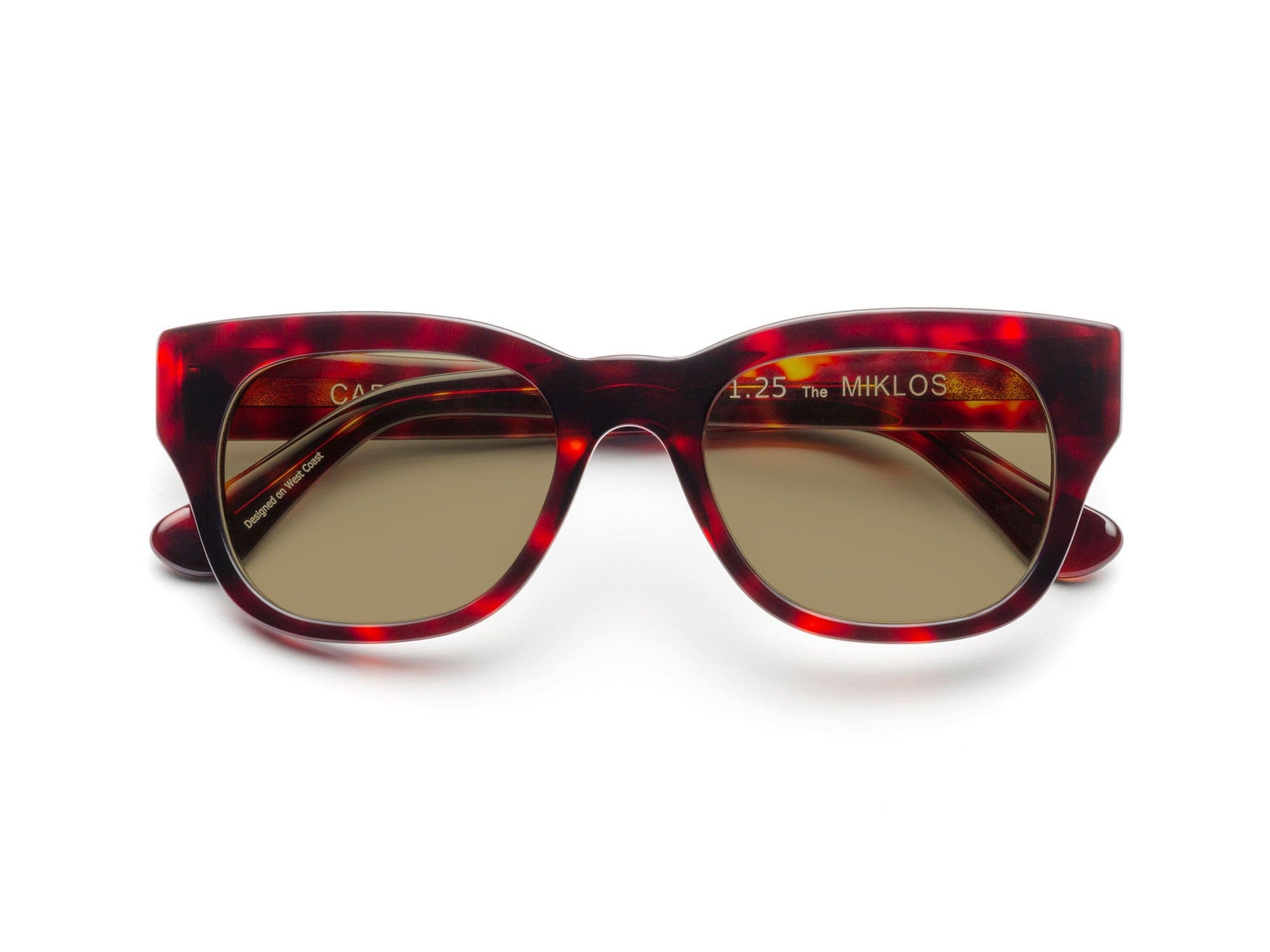selected Turtle - Polarized Bronze