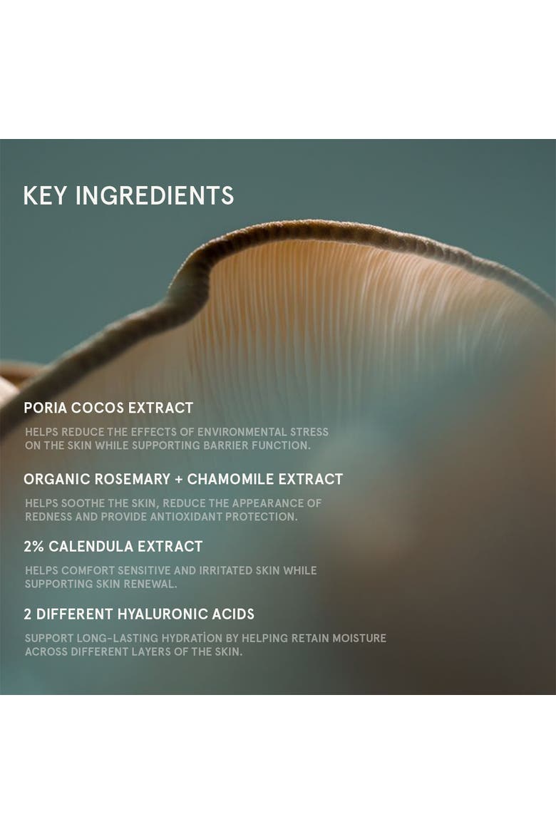 Superfood Repairing Plumping Cream, Alternate, color, No Color