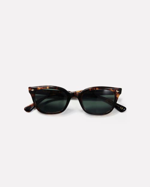 Epokhe Ceremony Sunglasses In Brown