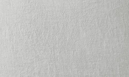 Coyuchi Relaxed Organic Linen Sham In Fog