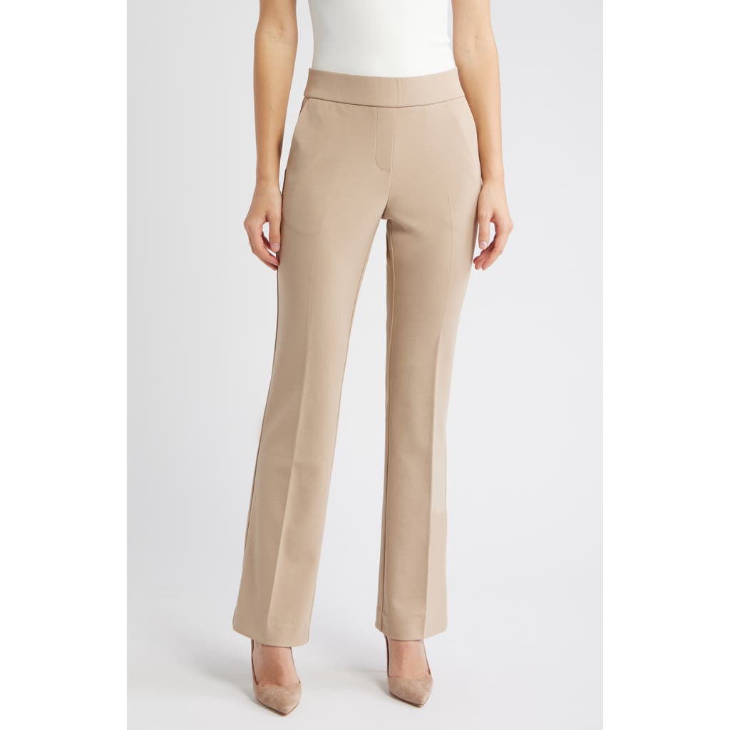 Ak Anne Klein High Waist Pull-on Pants In Neutral