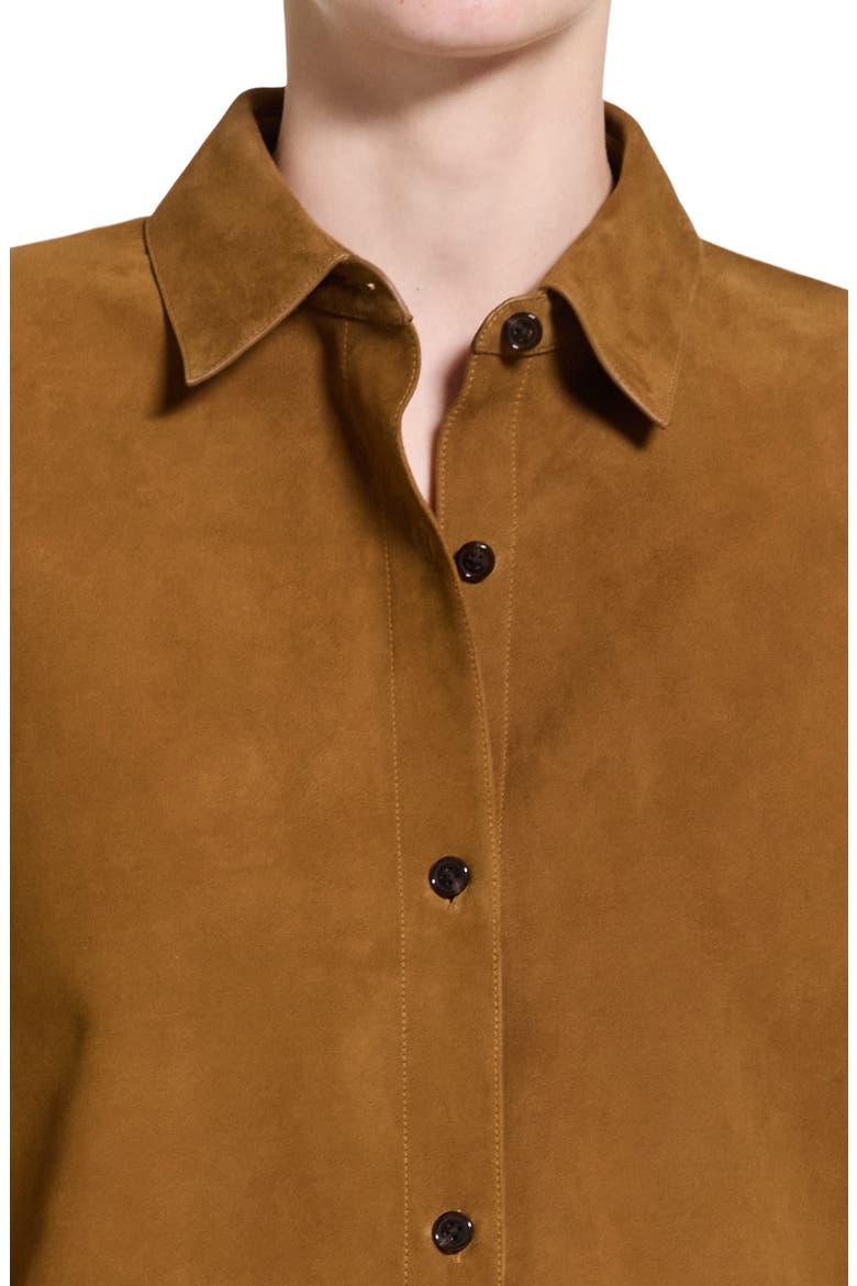 Classic Menswear Suede Shirt, Alternate, color, ACACIA BROWN - 2T2