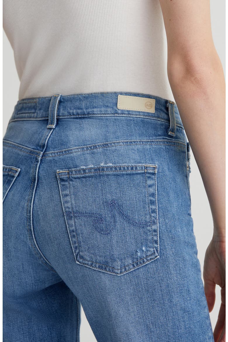 Brinley Classic Straight Leg Jeans, Alternate, color, IRIS
