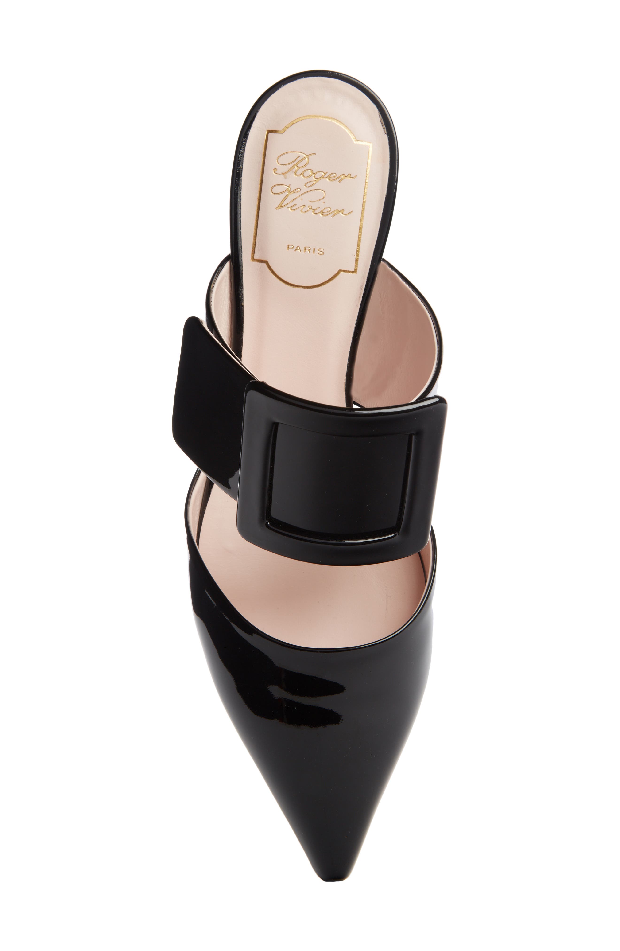 Roger Vivier Viv in the City Pointed Toe Mule, Alternate, color, 
