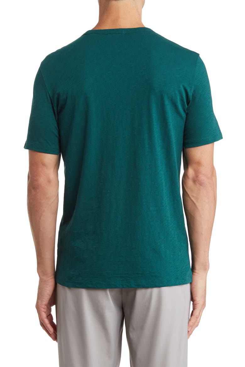 Essential in Cosmos Slub Cotton Tee, Alternate, color, FOLIAGE