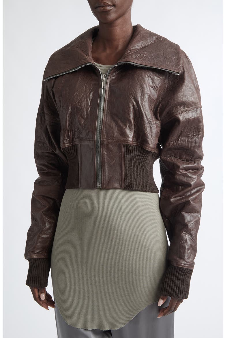 Dracuflight Crop Leather Bomber Jacket, Alternate, color, GREASE