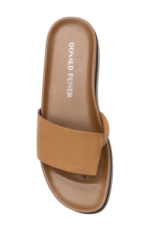 Shop Donald Pliner Fifi Sandal