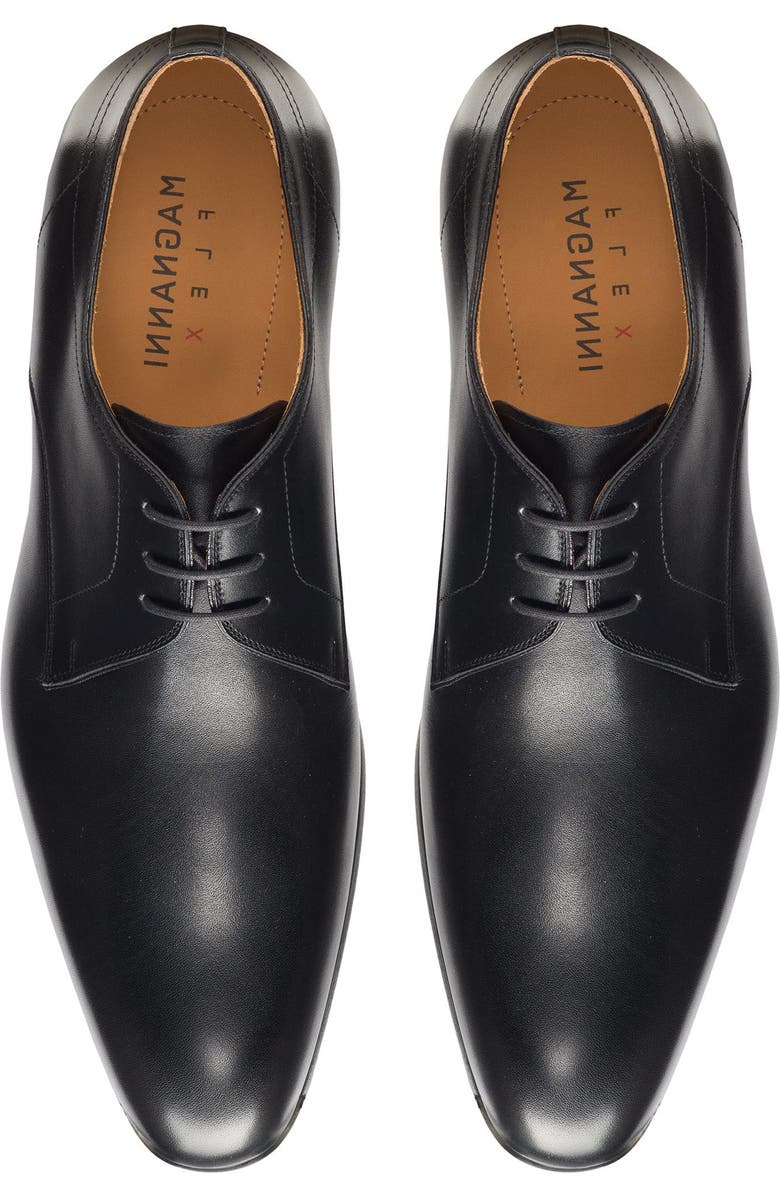 Magnanni Maddin Derby, Alternate, color,