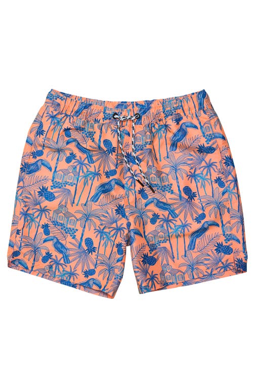 Snapper Rock Comfort Lined Sustainable Swim Short In Orange