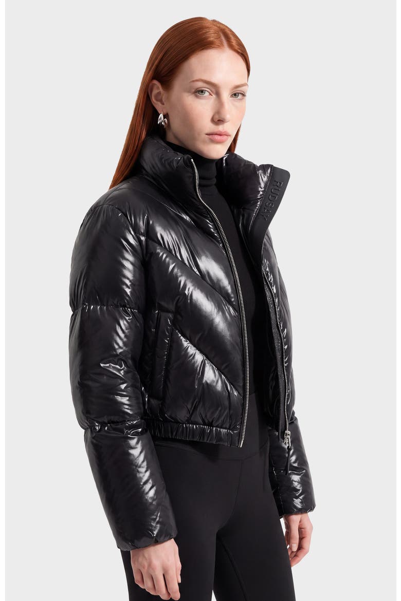 Anslie C Glossy Down Puffer, Alternate, color, Black