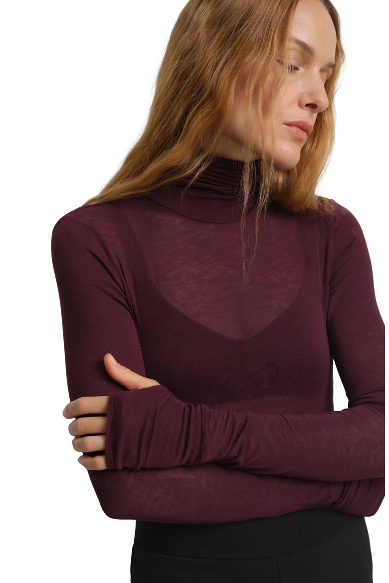 Eloise Sheer Turtleneck, Alternate, color, BURGUNDY