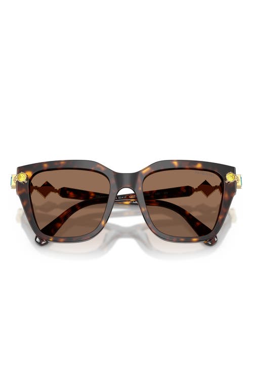 Swarovski 53mm Irregular Sunglasses In Brown