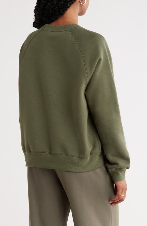 Abound Raglan Sleeve Sweatshirt
