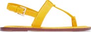 Bernardo Footwear Maverick 2 Toe Loop Sandal