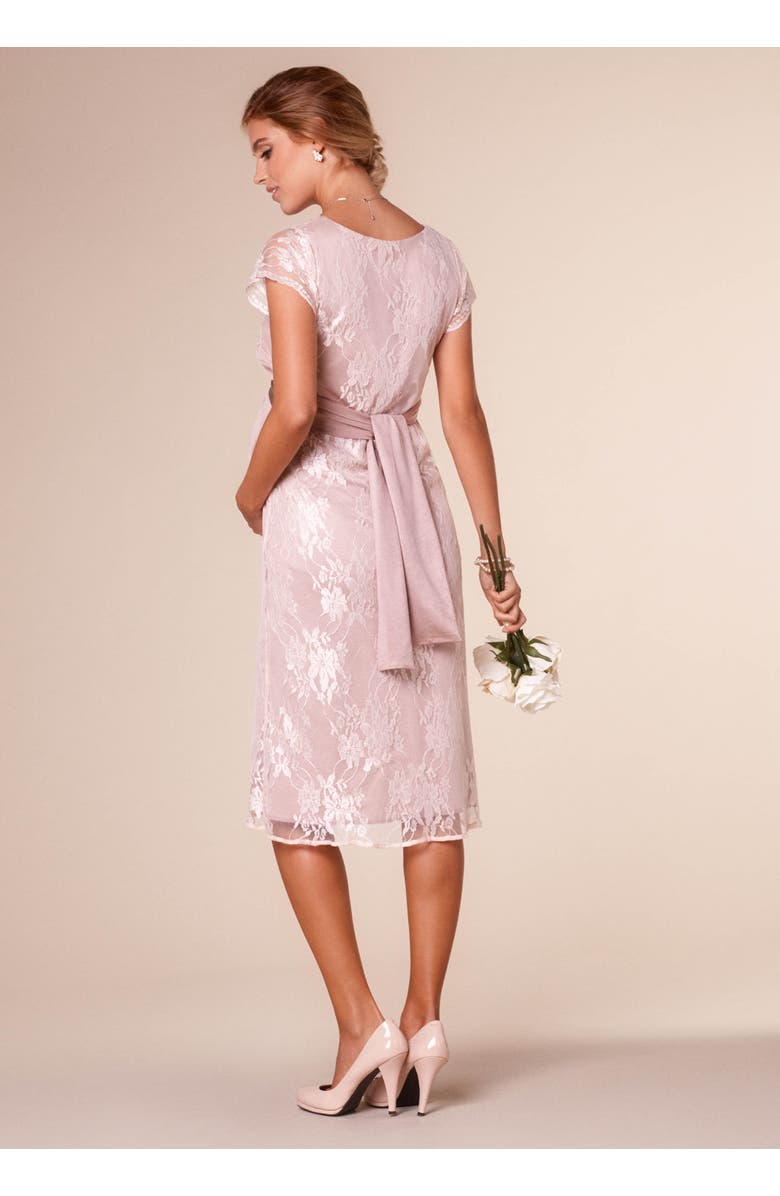 Tiffany Rose Maternity April Nursing Dress, Alternate, color,