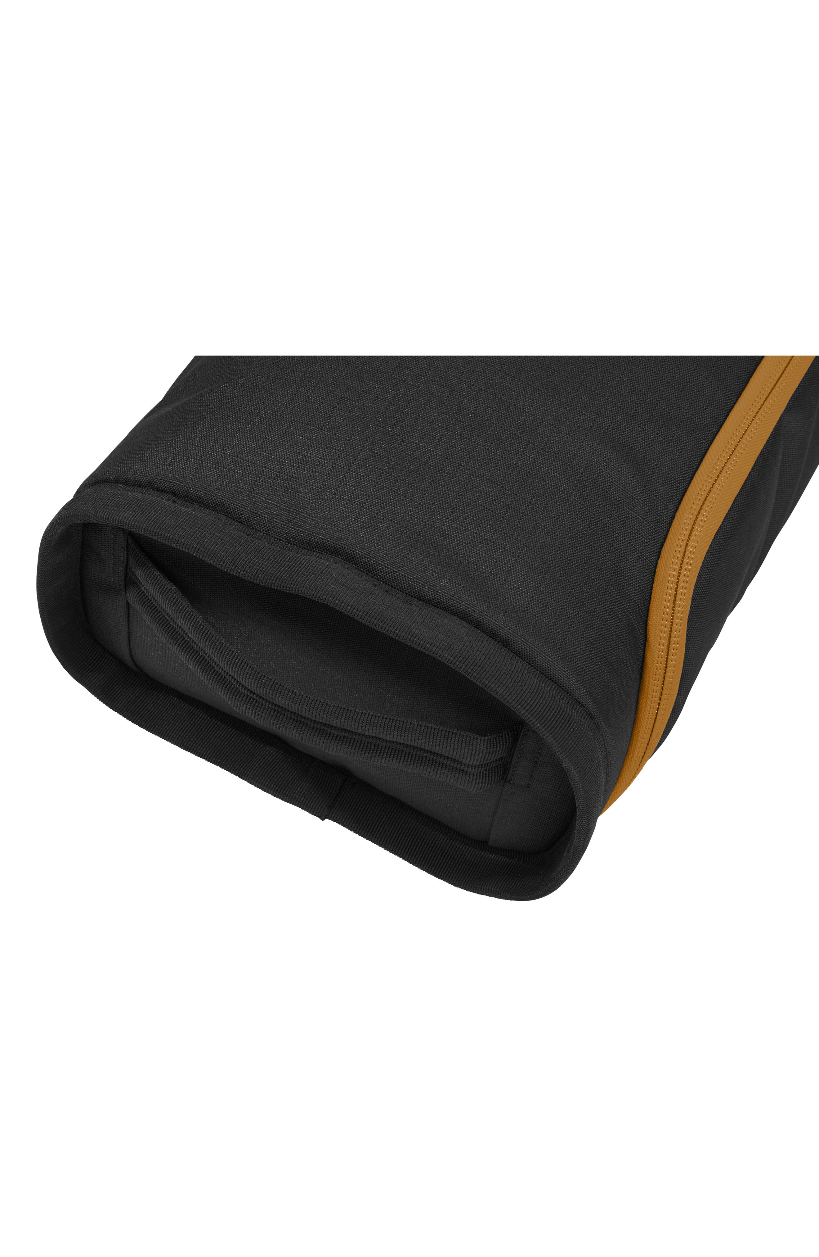 Thule RoundTrip Padded Ski Bag, Alternate, color, 