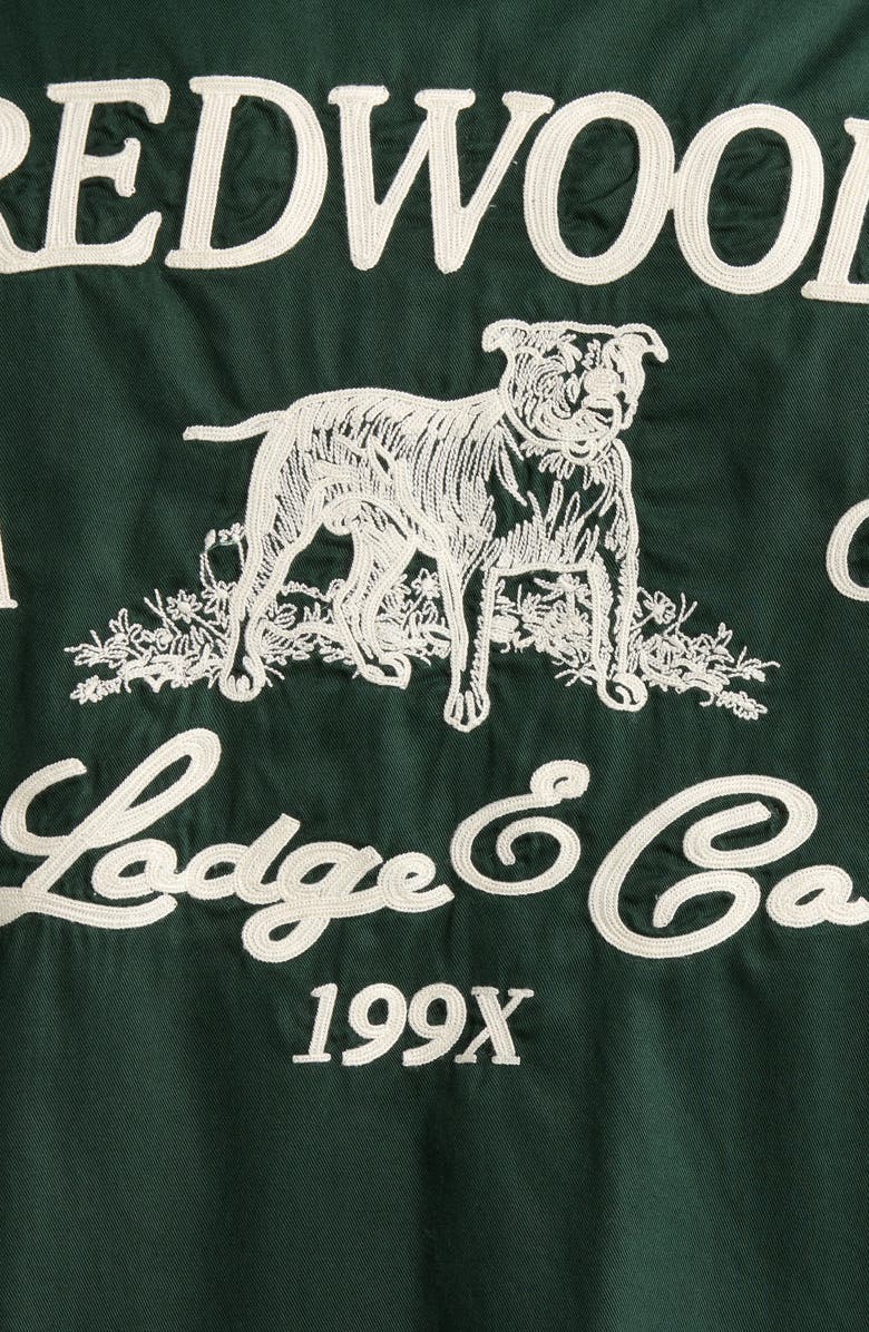 PacSun Embroidered Graphic Camp Shirt, Alternate, color, Green