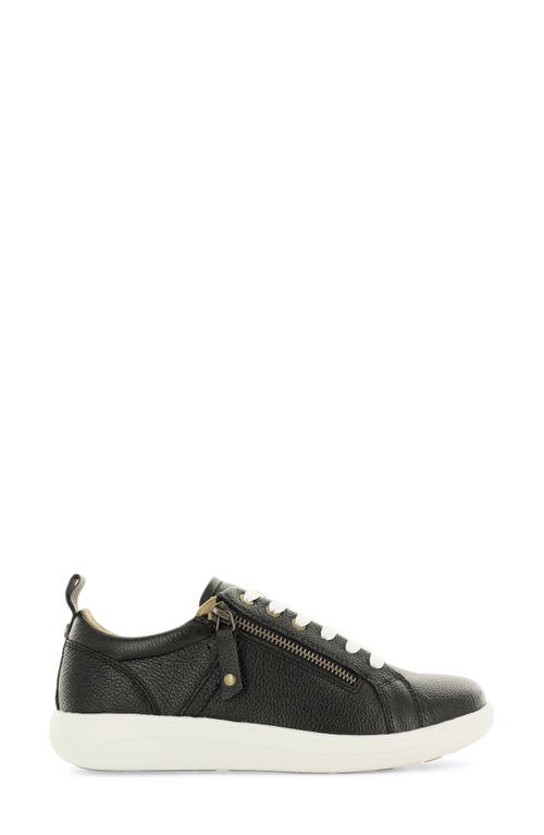 Strive Talia Sneaker In Black