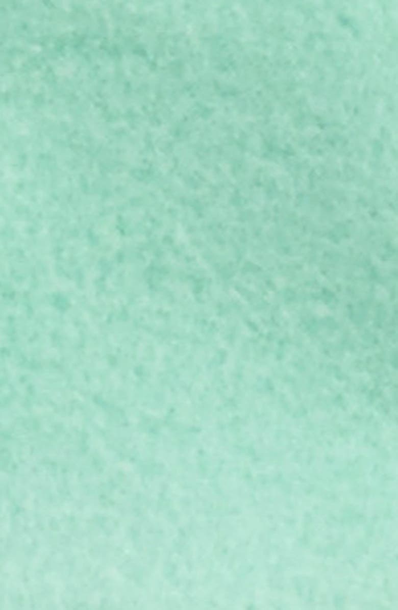 The North Face 'Denali E-Tip' Fleece Gloves, Alternate, color,