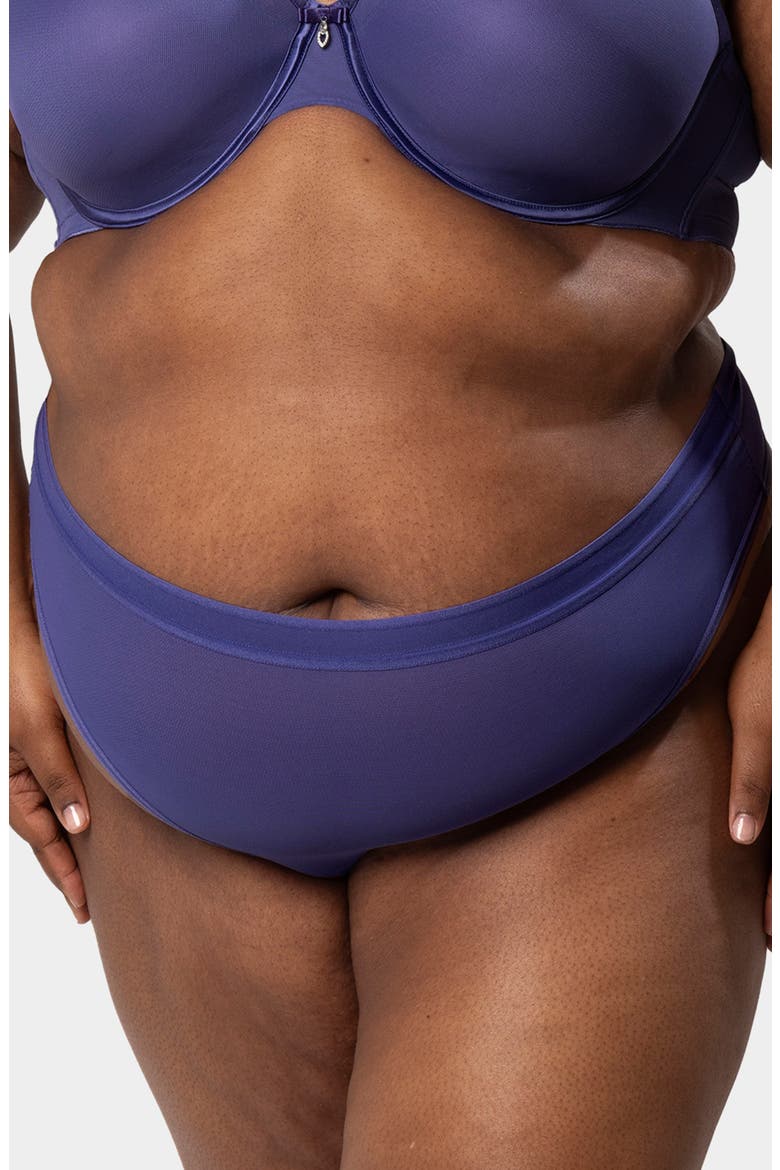 Sheer Mesh High Cut Thong Panty, Main, color, VINTAGE BLUE