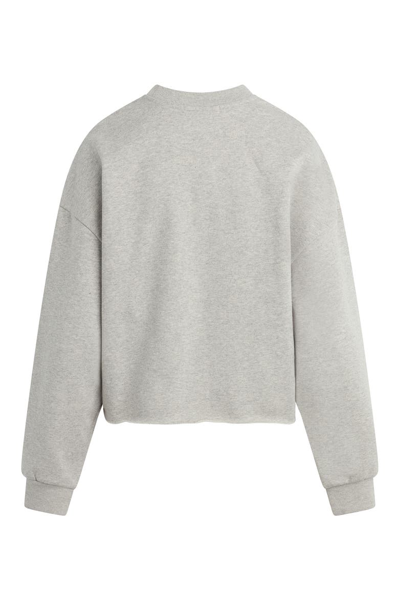 Cropped Collegiate Sweatshirt, Alternate, color, HEATHER GREY/NAVY
