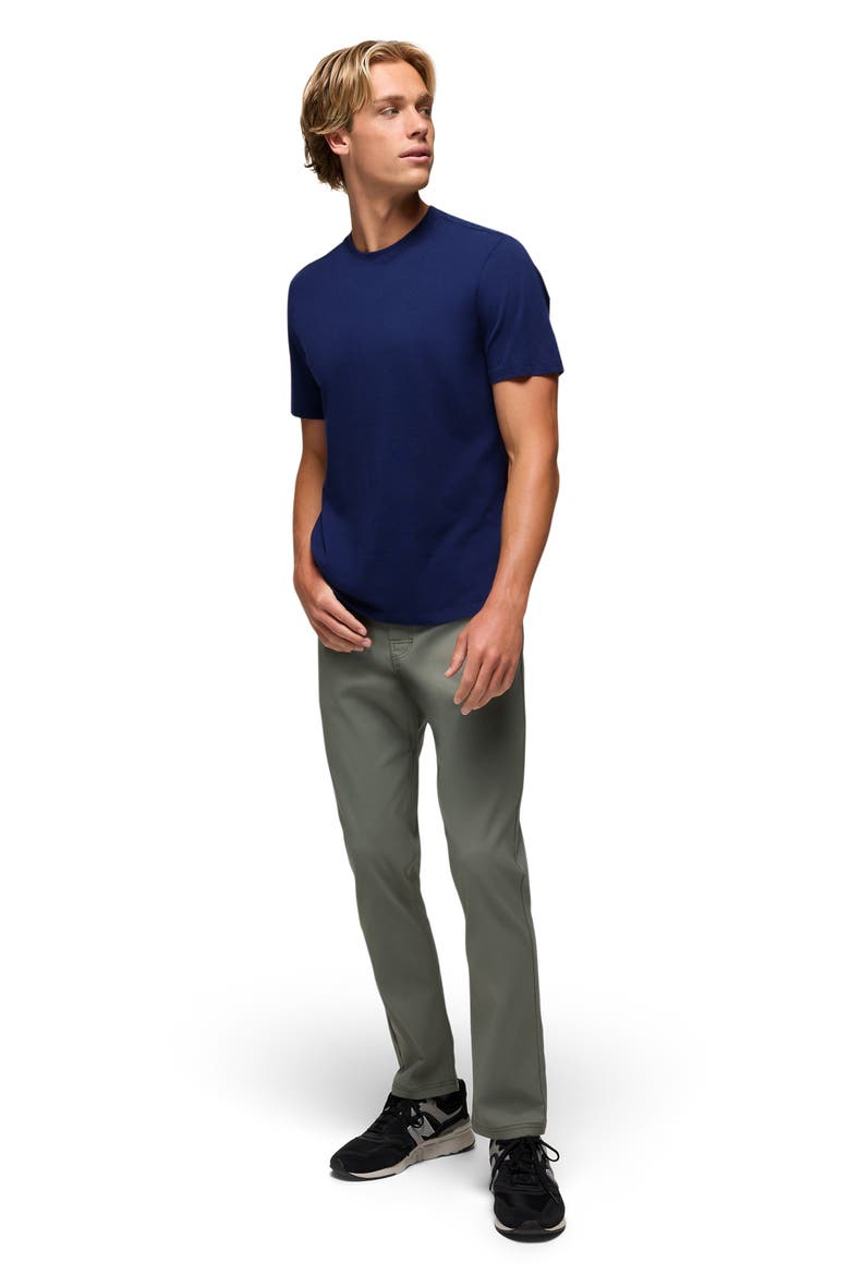 Everyday Short Sleeve Regenerative Organic Cotton T-Shirt, Alternate, color, CAPULET BLUE