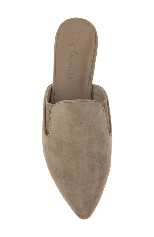 Splendid Liza Pointed Toe Mule In Neutral