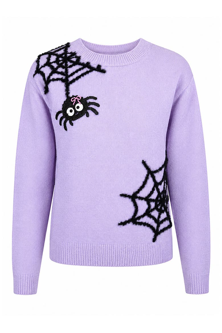 Kids' Spider Graphic Sweater, Main, color, PURPLE/ BLACK