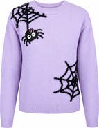 Zunie Kids' Spider Graphic Sweater