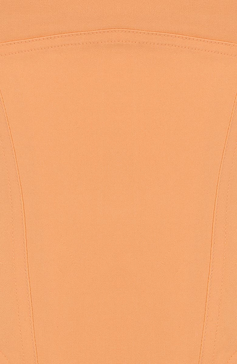 HOUSE OF CB Flavia Sculpting Corset Top, Alternate, color, Warm Apricot