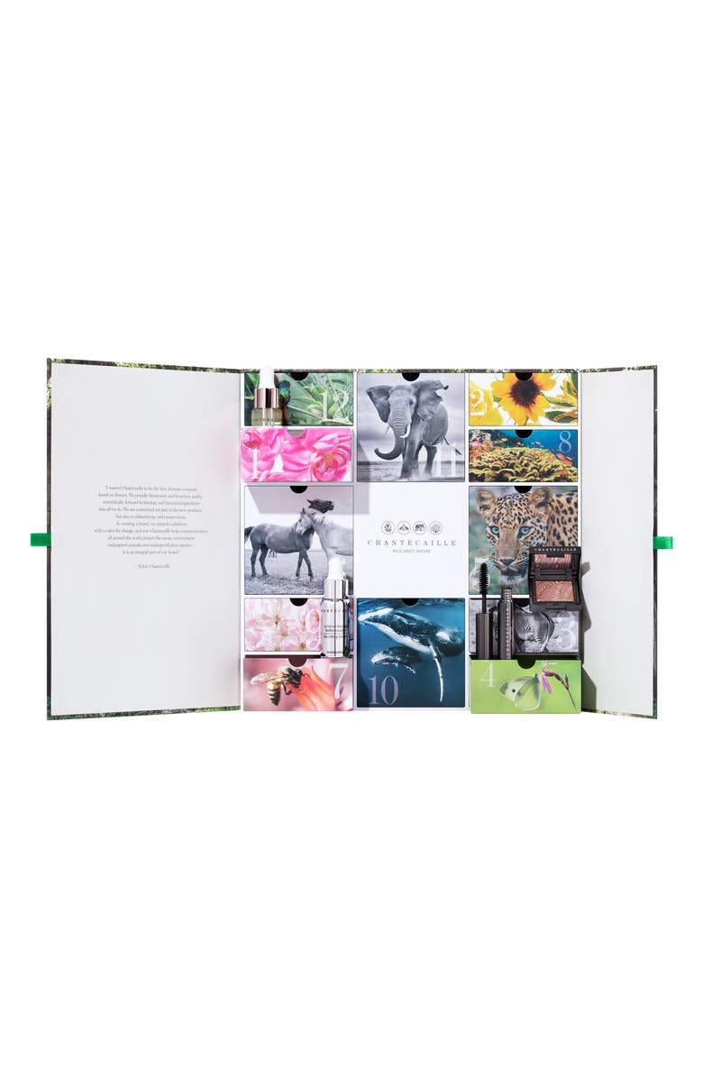 Chantecaille Advent Calendar USD $671 Value, Alternate, color,