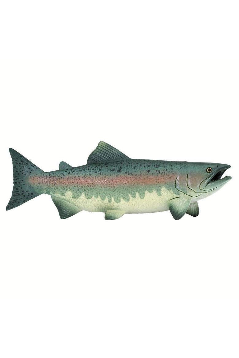 Salmon Toy, Main, color, No Color