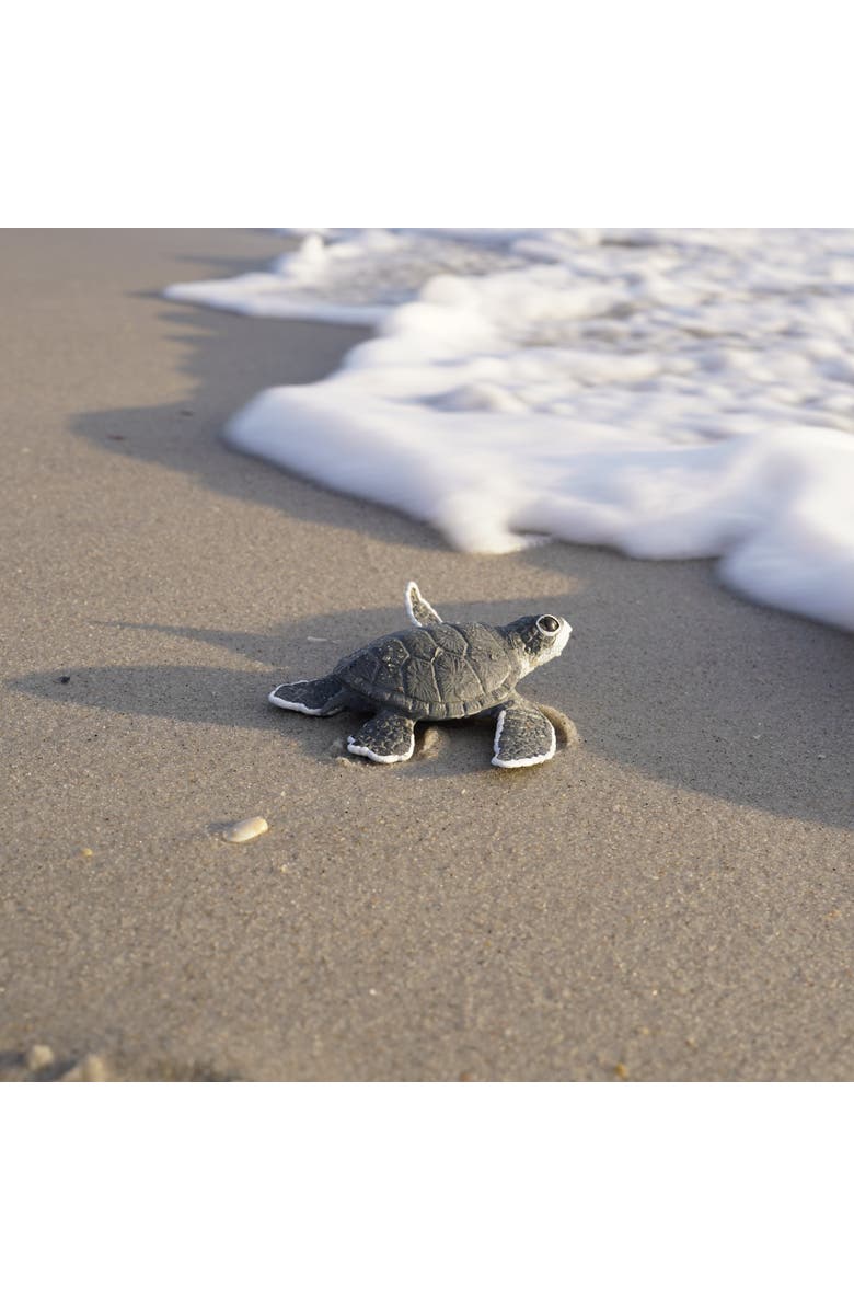 Safari Ltd. Sea Turtle Baby Toy, Alternate, color, NO COLOR