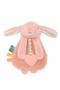 Pink Bunny Lovey & Teether