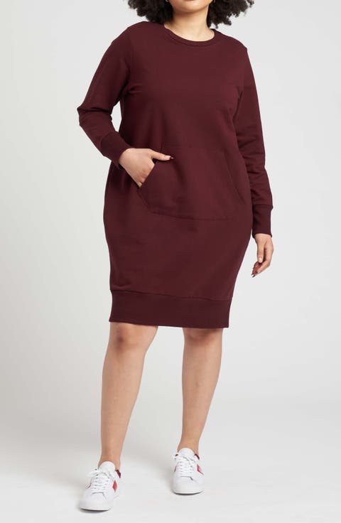 Bree Sweatshirt Dress