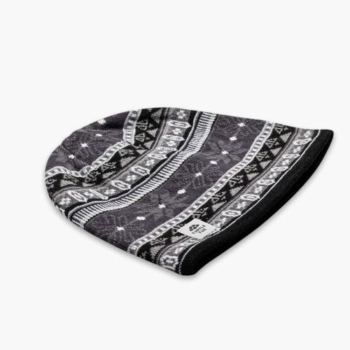 Turtle Fur Lars Merino Wool Beanie In Multi